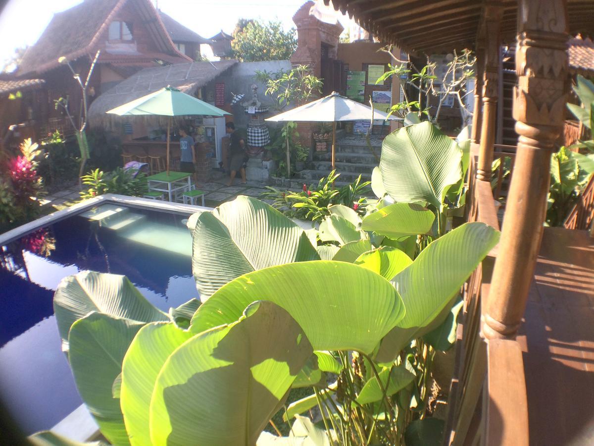 Green Paddy Hostel & Villa Ubud Exterior foto
